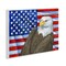 Stupell Industries Eagle's View Flag Wall Plaque Art Design by Paul Brent